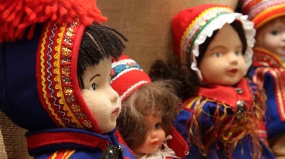 Sámi dohkkat